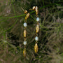"Summersweet Earrings I": Elegant pearl and gold earrings with a nature-inspired style.