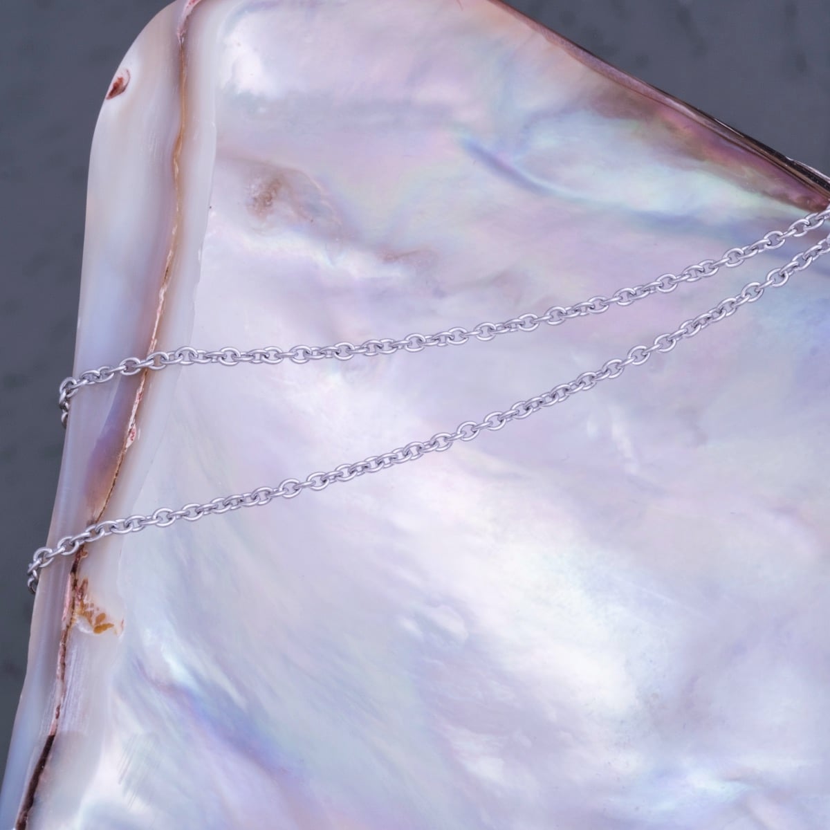 Campania Necklace (Abalone/Silver)
