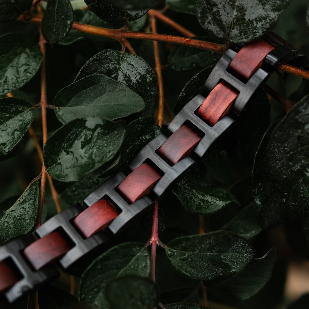 "Acoustic" bracelet featuring a sleek padauk and black design set against lush green leaves.