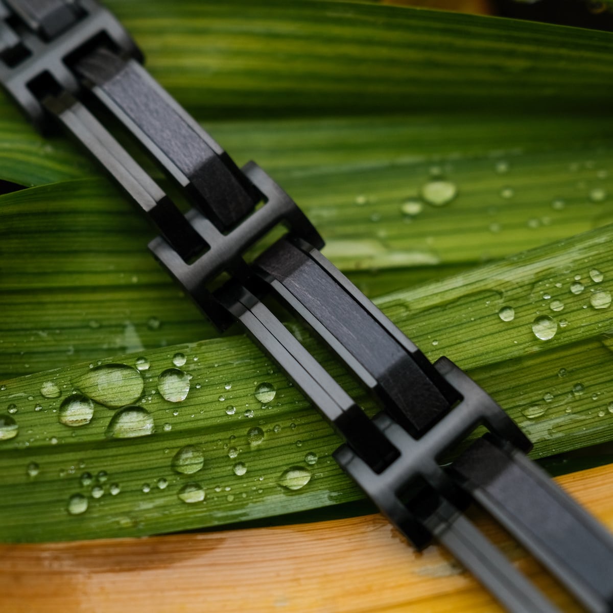 "Staccato" bracelet features a sleek maple and black design on a natural leaf background.