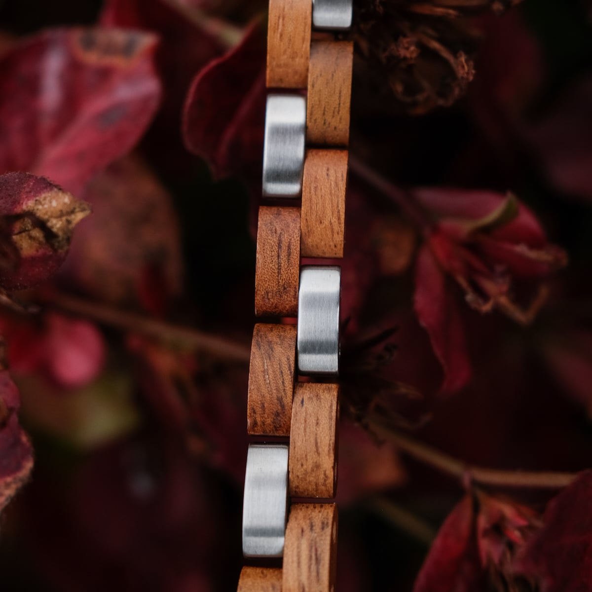 "Rondo" watch strap featuring a sleek koa wood and silver design among autumn leaves.