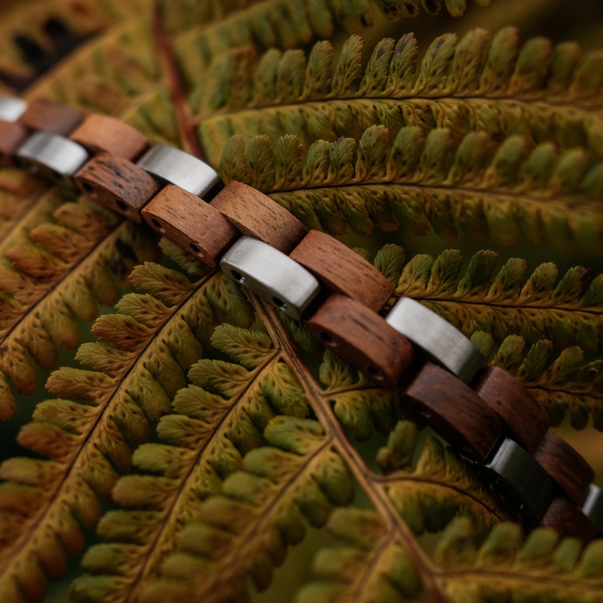 "Rondo" watch strap features a wood and silver design, nestled on detailed green far leaves.