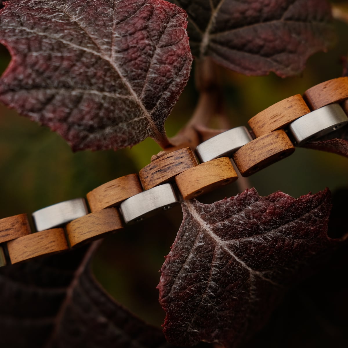 "Rondo", a stylish bracelet blending koa wood and silver, set against rich foliage for a natural and elegant look.