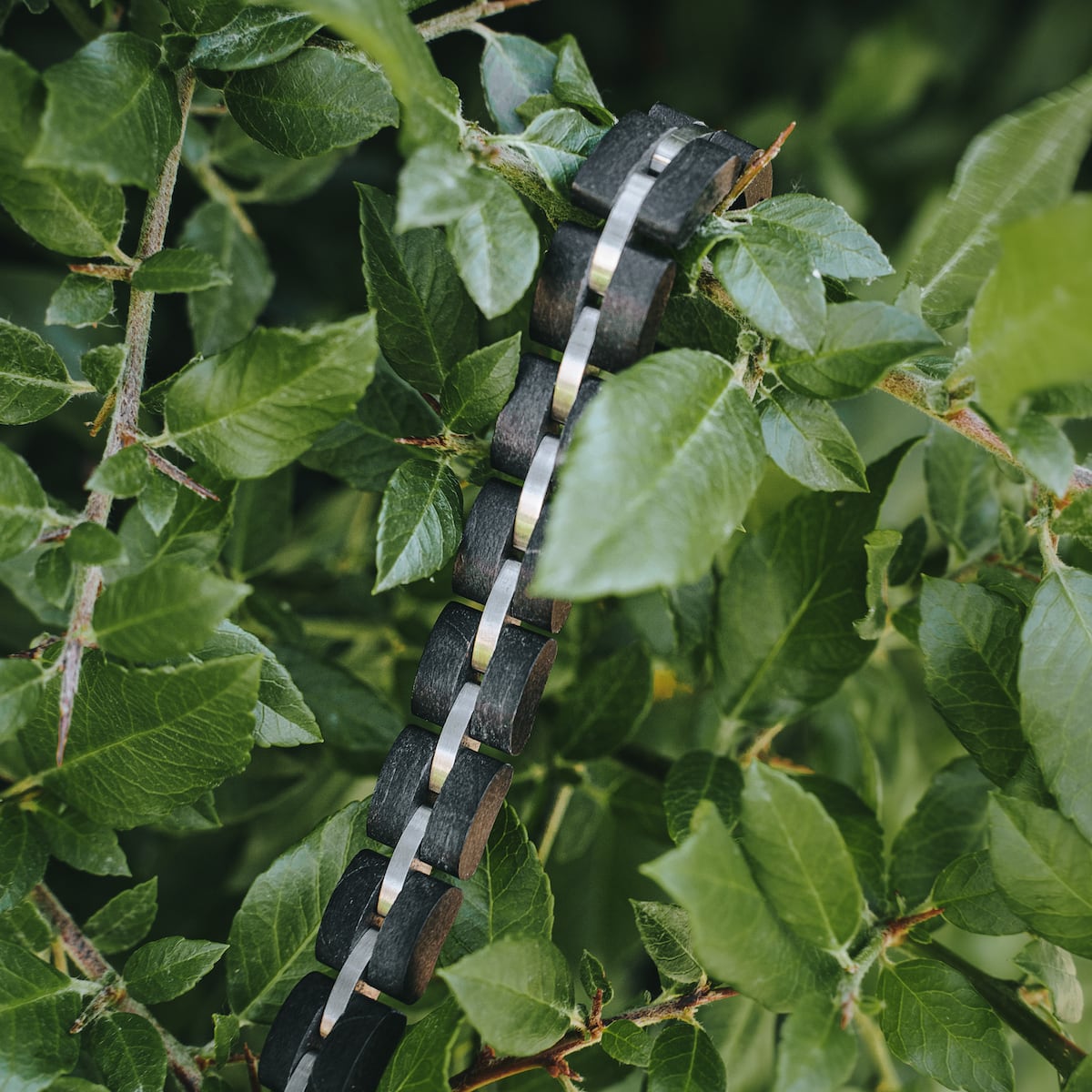 "Fantasia" bracelet in maple and silver, showcasing a sleek design against a backdrop of lush green leaves.